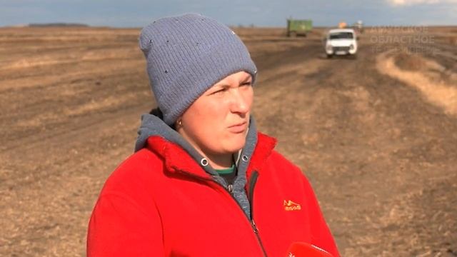 В Приамурье продолжается уборка сои