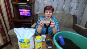 Теперь сею ПЕРЦЫ только так, рассада всегда сильная, мощная и крепкая!!