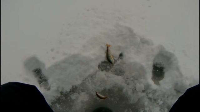 РИБАЛКА. Коломийський р-н, (Годи-Добровідка-П'ядики), ЗИМОЮ смотреть онлайн