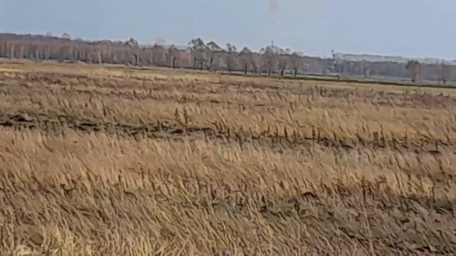 16 октября 2023 г.