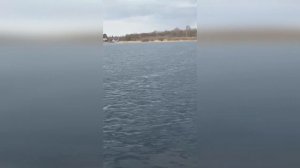 Ловят плотву в камышах на Ладоге. Рыбалка в Ленинградской области