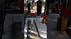 Закончили уборку