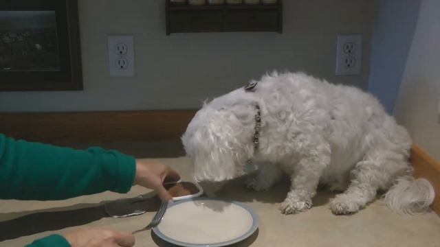 Cesar Dog Food Sunrise Grilled Steak and Eggs смотреть онлайн