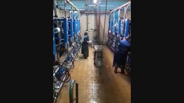 ОАО Вольно