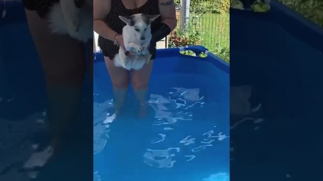 Ужас как хочется на МОРЕ 🏖