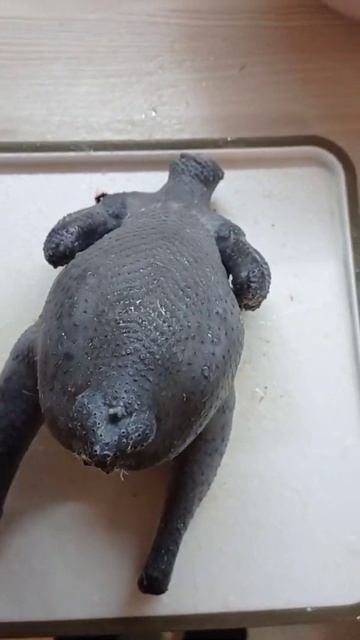 Мясо китайской шёлковой курицы