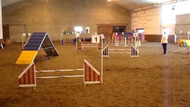 Duncan Holyoke AKC 3 21 09 Open FAST смотреть онлайн