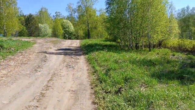 Погуляла по родным местам. Зарядилась. смотреть онлайн