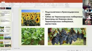 Европейский Юг. Особенности хозяйства. 9 класс