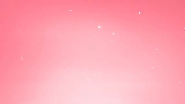 SCNet DAR - Кооперативный франчайзинг