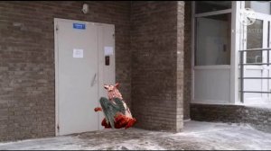 Вайлд крафт страшилка ( милок пусти погреться)