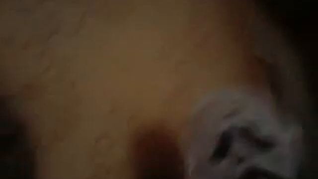 Бьют Джастина Бибера