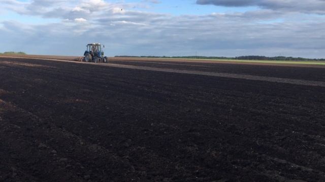 Обработка картофеля на двух MTZ 82