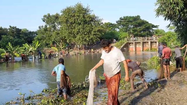 Рыболовный канал смотреть онлайн