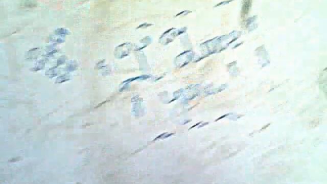 Заброшенная больница+подвал| Извиняемся за плохой звук и качество смотреть онлайн