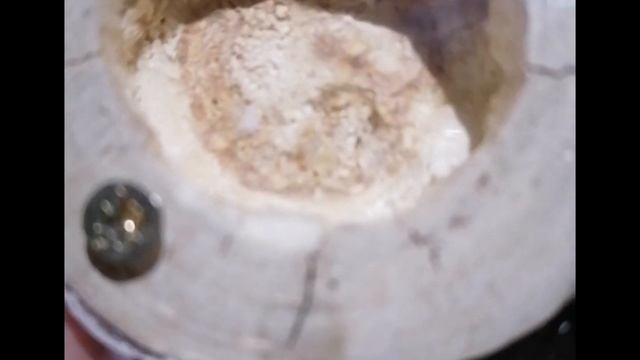 Создание деревянного формикария своими руками смотреть онлайн