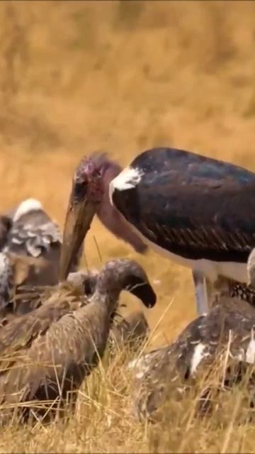 May 12, 2023 смотреть онлайн