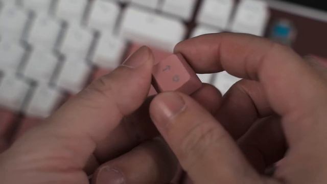 Sakura all over the place with Cooler Master! смотреть онлайн