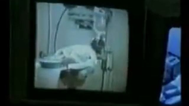 Роль кальция в жизни человека. смотреть онлайн