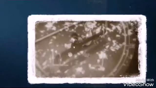 КЛИП Леди Баг и Супер Кот "Море" смотреть онлайн