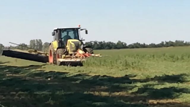 CLAAS Arion 640 disco kasza. смотреть онлайн