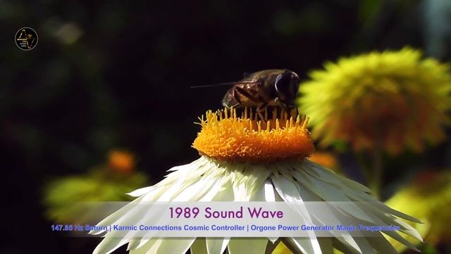 147.85 Hz Saturn | Karmic Connections | Cosmic Controller | Orgone Power Generator Magic Frequencie смотреть онлайн