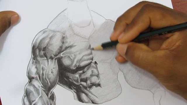 How to Draw Hulk - Avengers - Shading 1 | Long Version смотреть онлайн