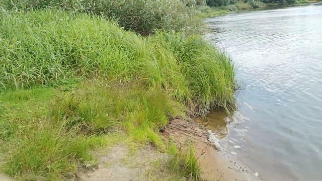 Брянск 13.07.2023 пляж от улицы речной вид в сторону больницы 4 смотреть онлайн