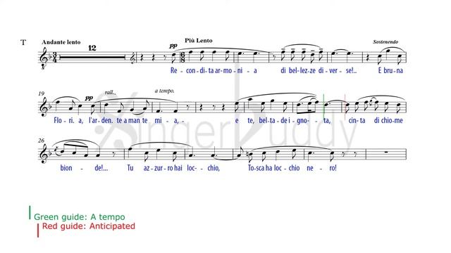 Recondita Armonia / Puccini: Instrumental / Tenor смотреть онлайн