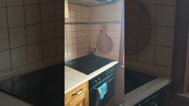 Домик в лесу с видом на море смотреть онлайн