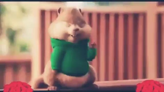 Элвин и бурундуки.