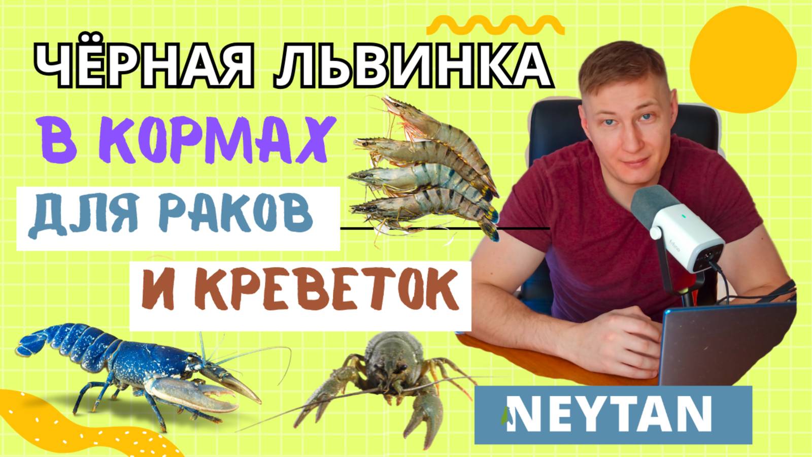 Чёрная львинка в кормах для раков и креветок #чёрнаяльвинка #bsf #neytan