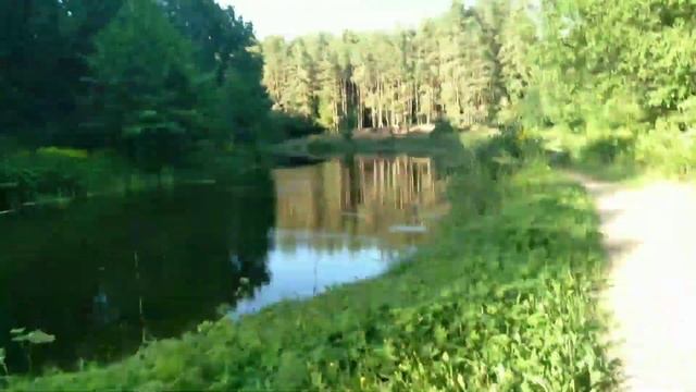 я приехал на небольшой водоём🌊 смотреть онлайн