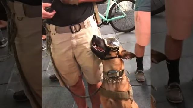 NYPD . Полицейские Нью Йорка💪 смотреть онлайн