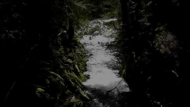 The Cascade Mountains- Clear Lake, Sahalie And Proxy Falls