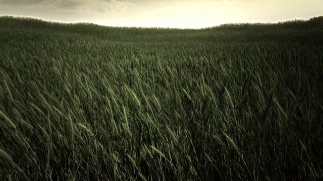 grass field animation testrender смотреть онлайн