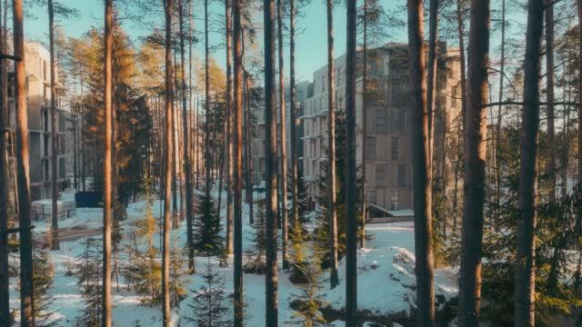 Рощино Residence | Аэросъемка