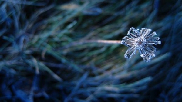 Dark the Suns - Evensong (2011) Super song