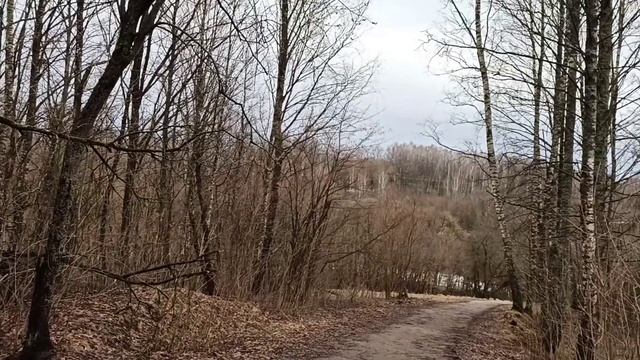 Текущие дела на стоках, поездка в банк. Болтология о смысле жизни, ценностях. Еда и прогулки в лесу