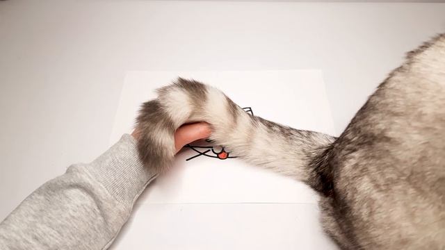 How To Draw a Cat For Children, Funny Cat Drawing смотреть онлайн