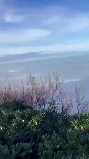 Sonido REAL de las Olas del Mar 🌊 The Authentic Sound of Sea Waves 🌊 Biarritz. España | Spain #rela смотреть онлайн