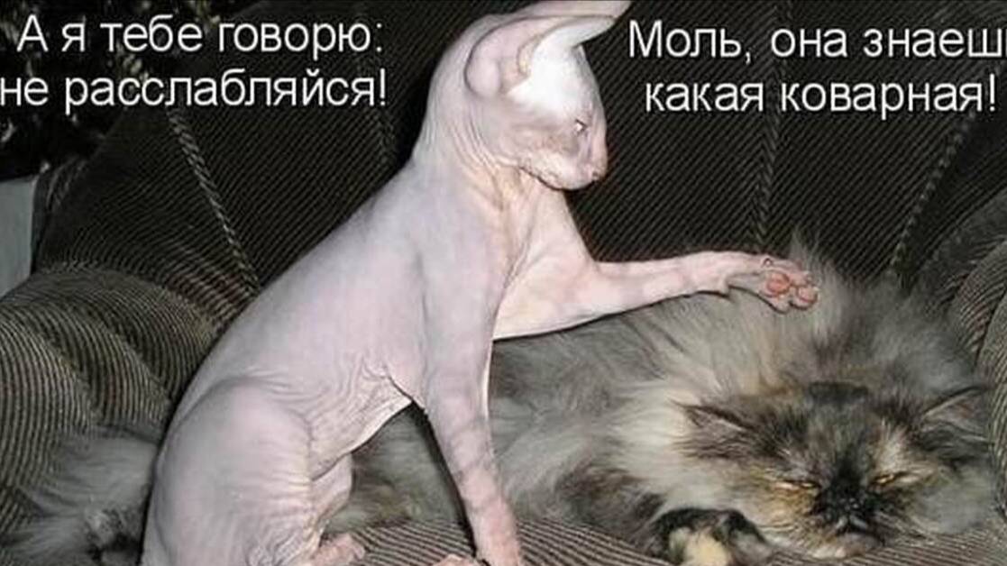 И все таки, наступит такой период. смотреть онлайн