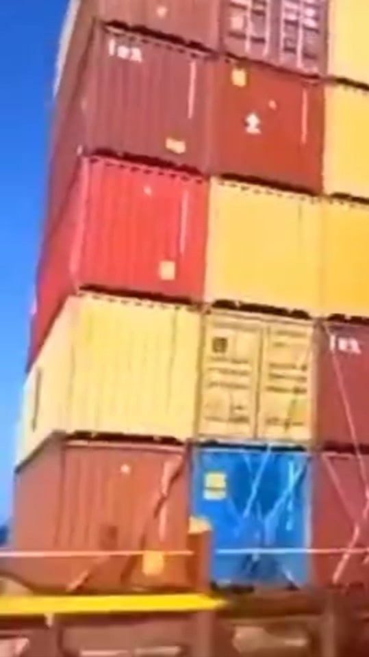 Живой хот-дог