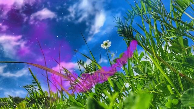 HiraiZerdüş - Ben bilmezdim renkleri смотреть онлайн