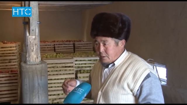 Садоводы не могут сбыть свой урожай по приемлемой цене / 16.12.16 / НТС смотреть онлайн