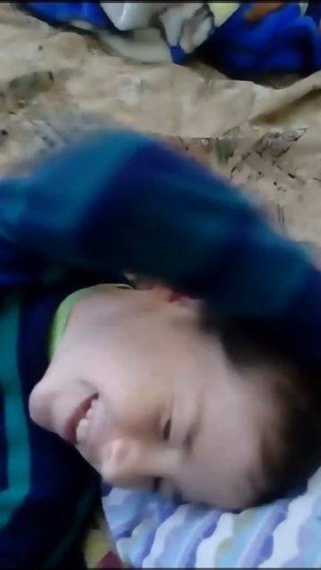 Путешествия с животными