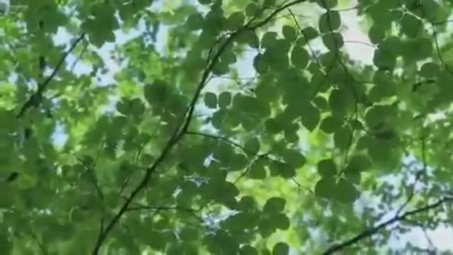 Сыйласайық... смотреть онлайн