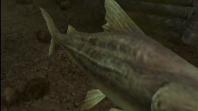 Wii - Endless Ocean 2 - Cortica River 23.1 смотреть онлайн