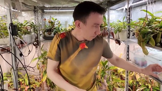 Часть1/Магазин хищных растений Flowerrr/Обзор растений и много полезных советов! смотреть онлайн