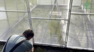 Видео инструкция по сборке арочной теплицы AZT